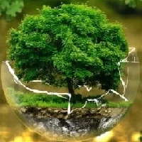 Paryavaran in Hindi